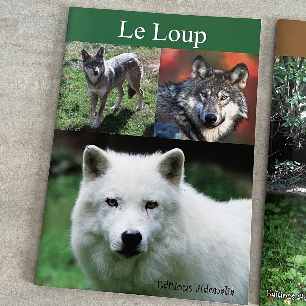 Editions Adonalia Le Loup & Les Félins livret de zoo animaux enfants - Picture 2 of 9